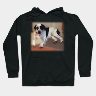 O DOG Hoodie